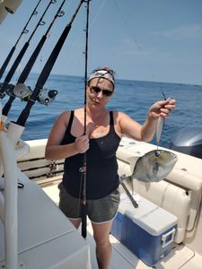 Caught a grey triggerfish fishing in FL