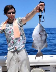 Angler with a grey triggerfish, Fort Walton Beach