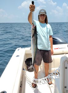 Wahoo Wow in Fort Walton Beach