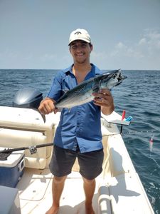 Bonito Fun In Fort Walton Beach