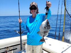 Bright day. Quality Triggerfish.