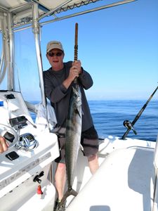 One king mackerel, 36-inch fish, caught while fishing in Fort Walton Beach