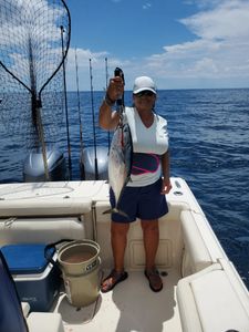 Little Tunny fish caught fishing in FL