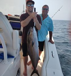 A large Longfin Yellowtail fish caught in FL