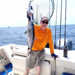 A huge Longfin Yellowtail fish caught while fishing in FL