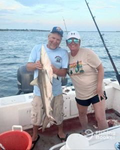 Atlantic Sharpnose Shark caught while fishing in FL