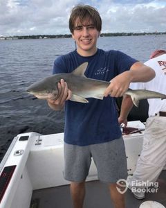 Angler landing an Atlantic Sharpnose Shark in Florida