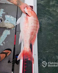 best great fishing in fl