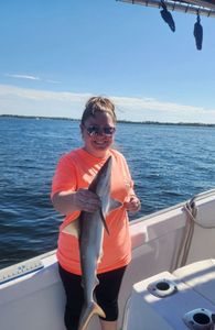 Blacktip shark fishing in FL