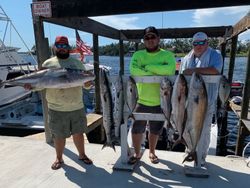 7 bluefish caught while fishing in FL