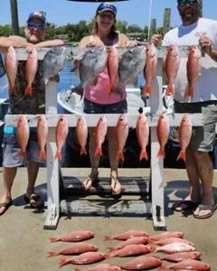 8 fish caught during fishing trip in Panama City Beach