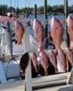 Great fishing in FL