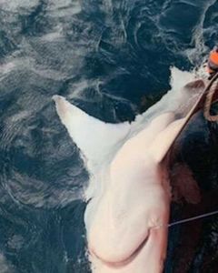 Fishing adventure in FL