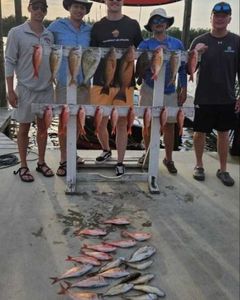 3 fishing rods with 5 people in FL