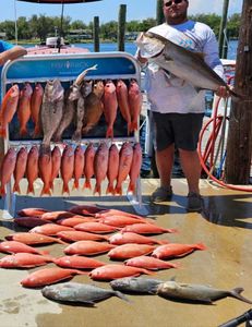 7 fish caught while fishing in FL