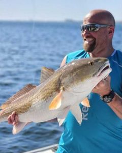 Successful single-person fishing trip in Panama City Beach