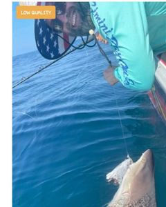 Fishing at Panama City Beach