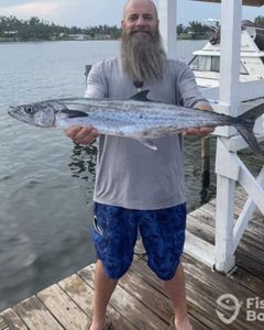 King Mackerel, a huge fish, caught while fishing in Panama City Beach