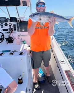 Longfin Yellowtail fish caught in Panama City Beach