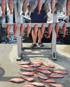 Exciting fishing trip in FL with 14 fish