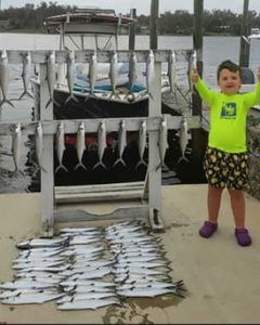 Fisherman with 4 caught fish at Panama City Beach