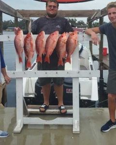 A group of 5 fish caught at Panama City Beach