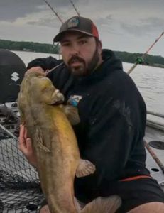 Flathead catfish chase!