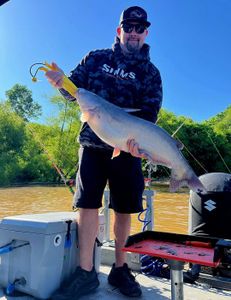 Blue catfish frenzy!