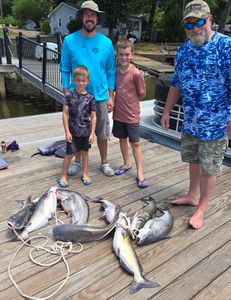 6 blue catfish caught in NC