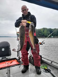 Channel catfish adventure!