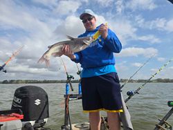 Angler holding a blue catfish in Mocksville