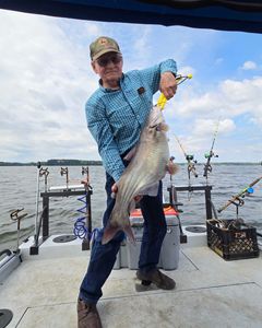 Image of a big blue catfish caught by a lone angler in North Carolina.