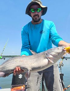 Angler holding a large blue catfish in North Carolina