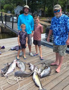 3 channel catfish and hardhead sea catfish, fishing in Mocksville