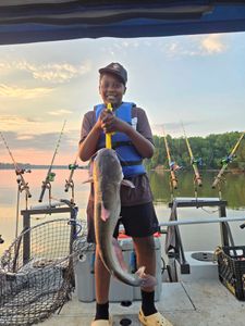 Hardhead Sea Catfish, 26 inches, fishing in NC