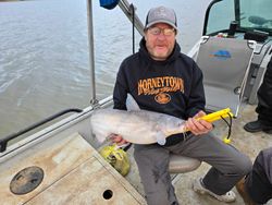 Photograph of a blue catfish, 14 inches long, caught while fishing in NC.