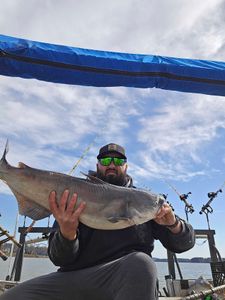 Photograph of a blue catfish caught in NC
