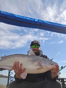 A man holding a large blue catfish, fishing in NC