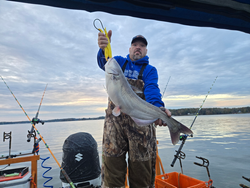 Nice blue catfish using trolling and drift techniques on calm water.