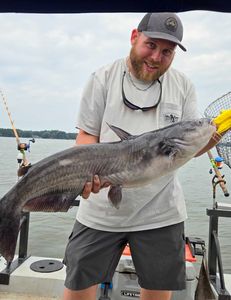 Blue Catfish caught while fishing in Mocksville