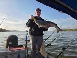 A big blue catfish caught in Mocksville
