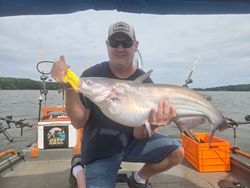 Angler holds a blue catfish in Mocksville