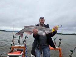 Blue catfish caught in Mocksville