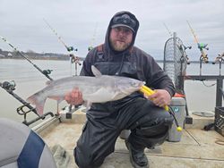 Photograph of a blue catfish caught while fishing in Mocksville
