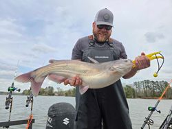 Blue catfish caught in Mocksville