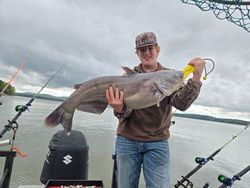 Photo of a single blue catfish measuring 33 inches