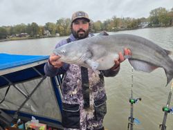 Blue catfish caught while fishing in Mocksville