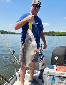 Blue catfish caught in Mocksville