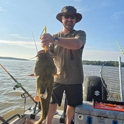 Blue catfish caught while fishing in Mocksville