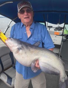 Photograph of a 21-inch blue catfish caught while fishing in Mocksville